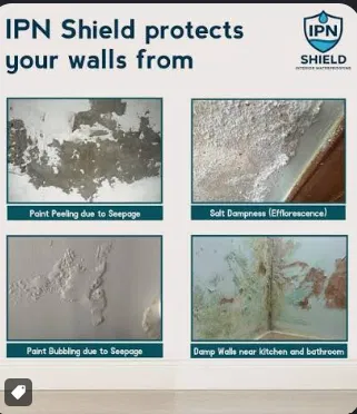 Internal Wall Waterproofing work photo 1